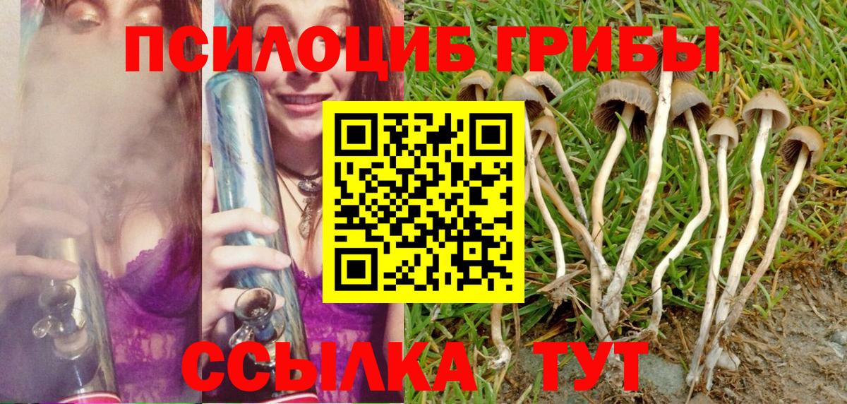 Псилоцибиновые грибы GOLDEN TEACHER  Галлюциногенные грибы MAGIC MUSHROOMS  даркнет сайт  Юрга  Вход с VPN 